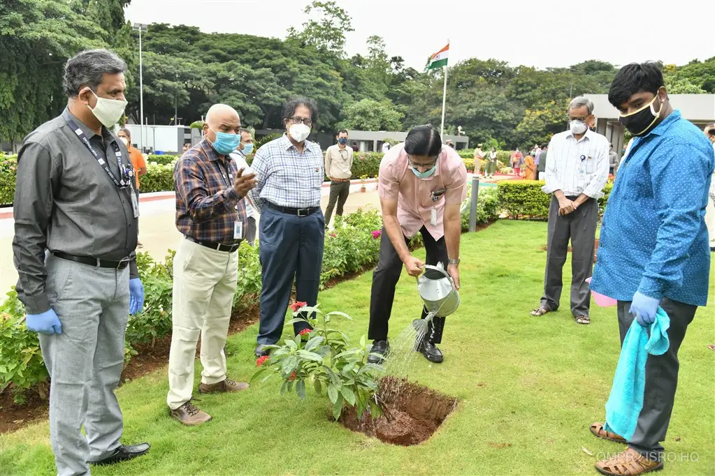 Plantation of Saplings