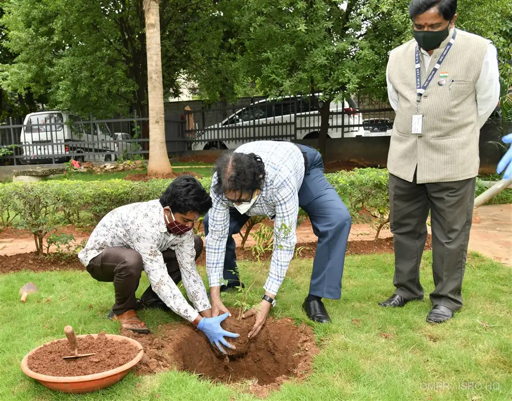 Plantation of Saplings