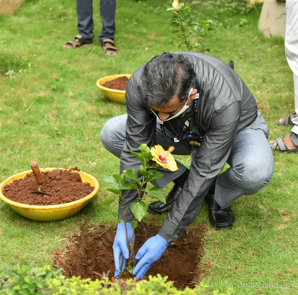 Plantation of Saplings