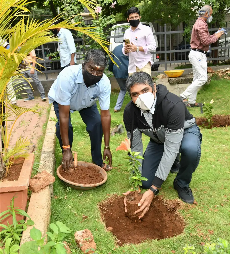 Plantation of Saplings