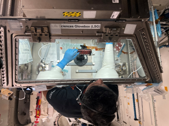 Shubhanshu Shukla doing science experiment