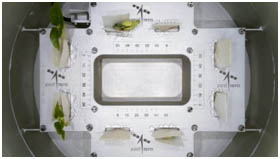 CROPS image from orbit on 5th Jan. 2025