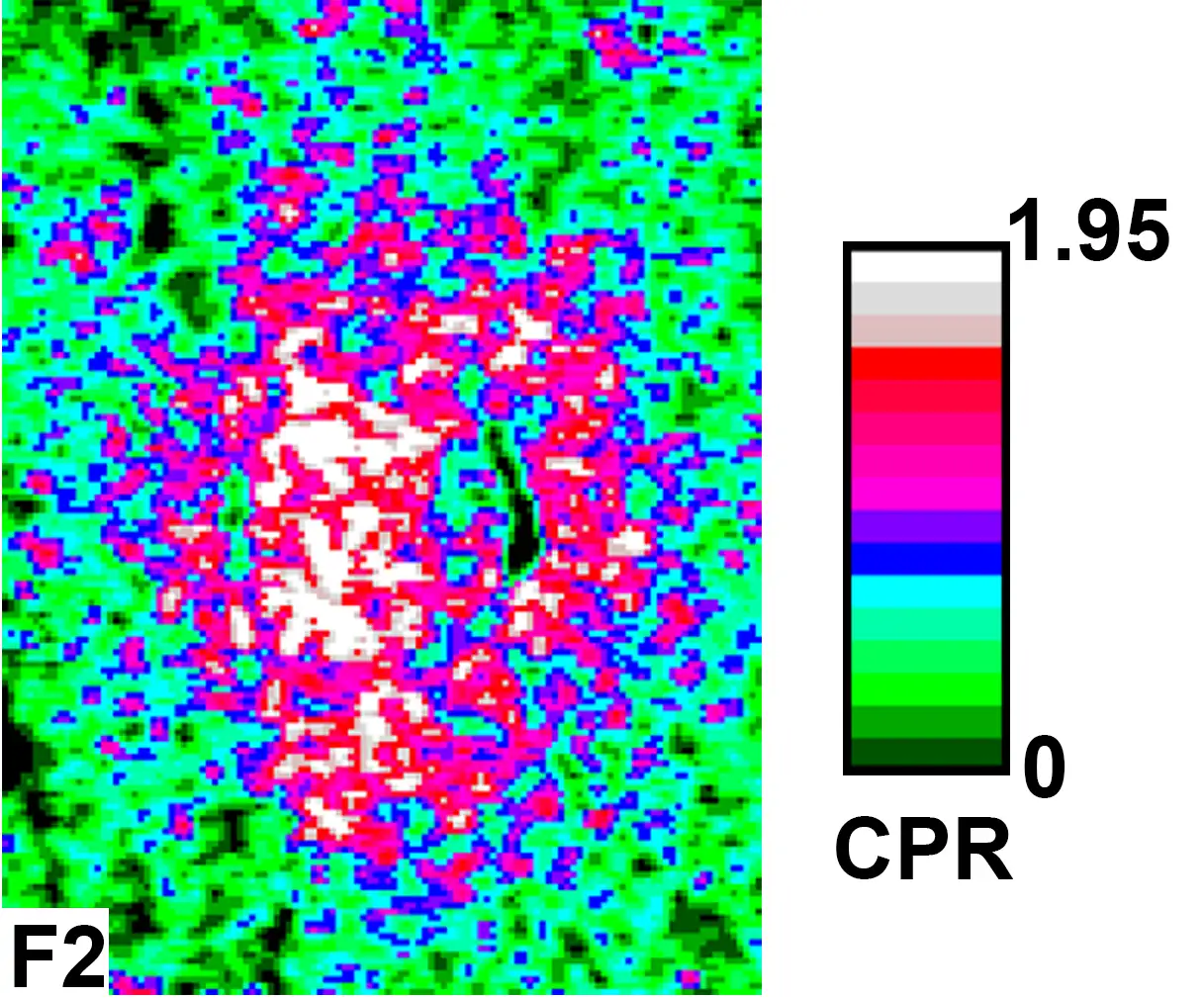 CPR map derived from Chandrayaan-2 DFSAR data for the ~1.1 km diameter doubly shadowed crater shown in Figure 1.