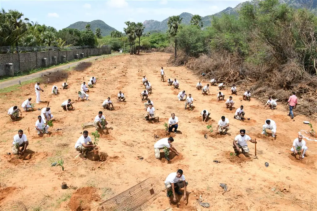 Tree Plantation on the eve of AZADI KA AMRIT MAHOTSAV